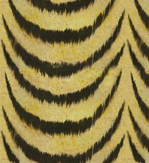 Tiger Print